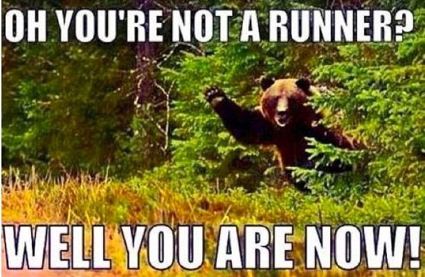 Isn't it a bad idea to run from bears?